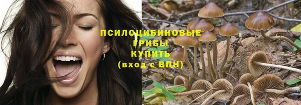 гашик Беломорск